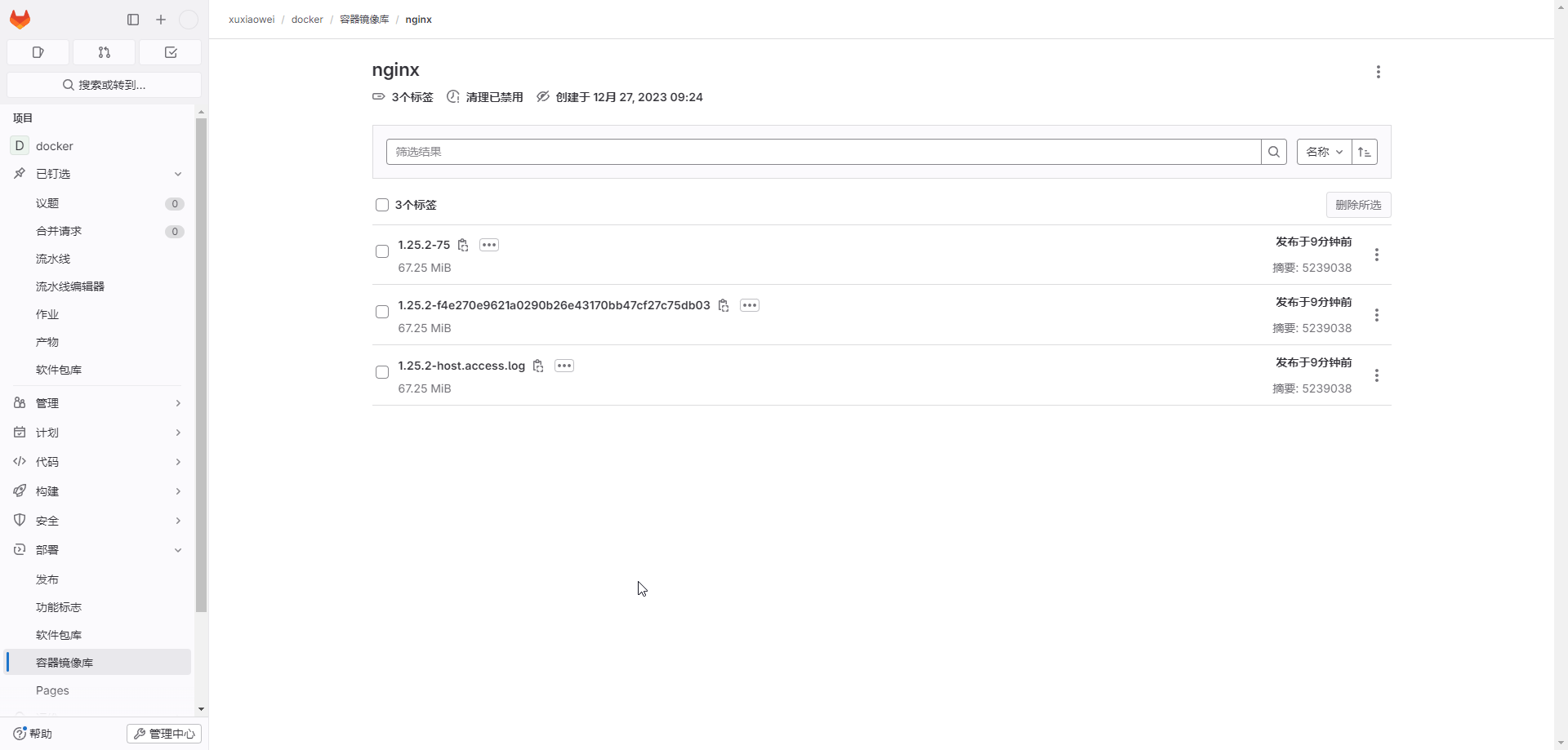 gitlab-runner-job-19.png